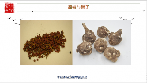 蜀椒与附子 