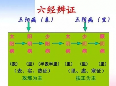 关于六经实质——《李冠杰伤寒论讲稿》
 