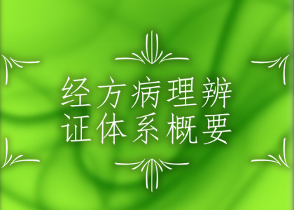 经方病理辨证体系概要 