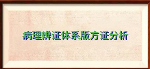 病理辨证体系版方证分析带目录 