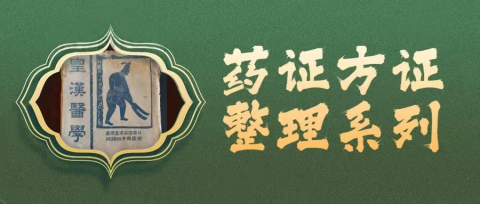 《皇汉医学》关于“不仁”的药证和方证整——袁洪雷 