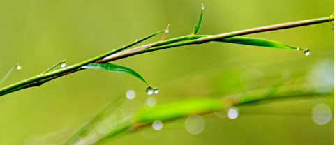 半证的寒与热——陈贵石 