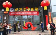 伊芦经方代谢疾病经方诊疗研讨会8日内容要点速读